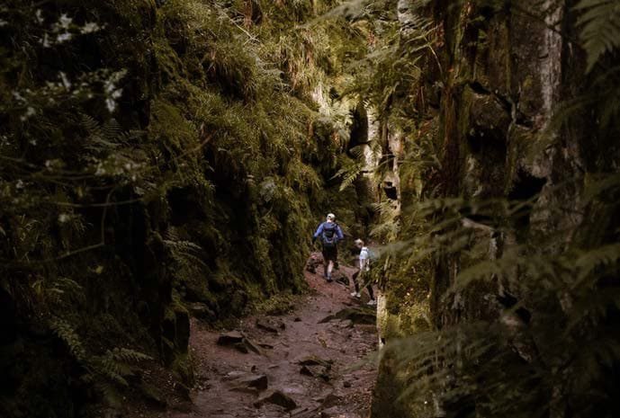 Walks in Macclesfield Forest